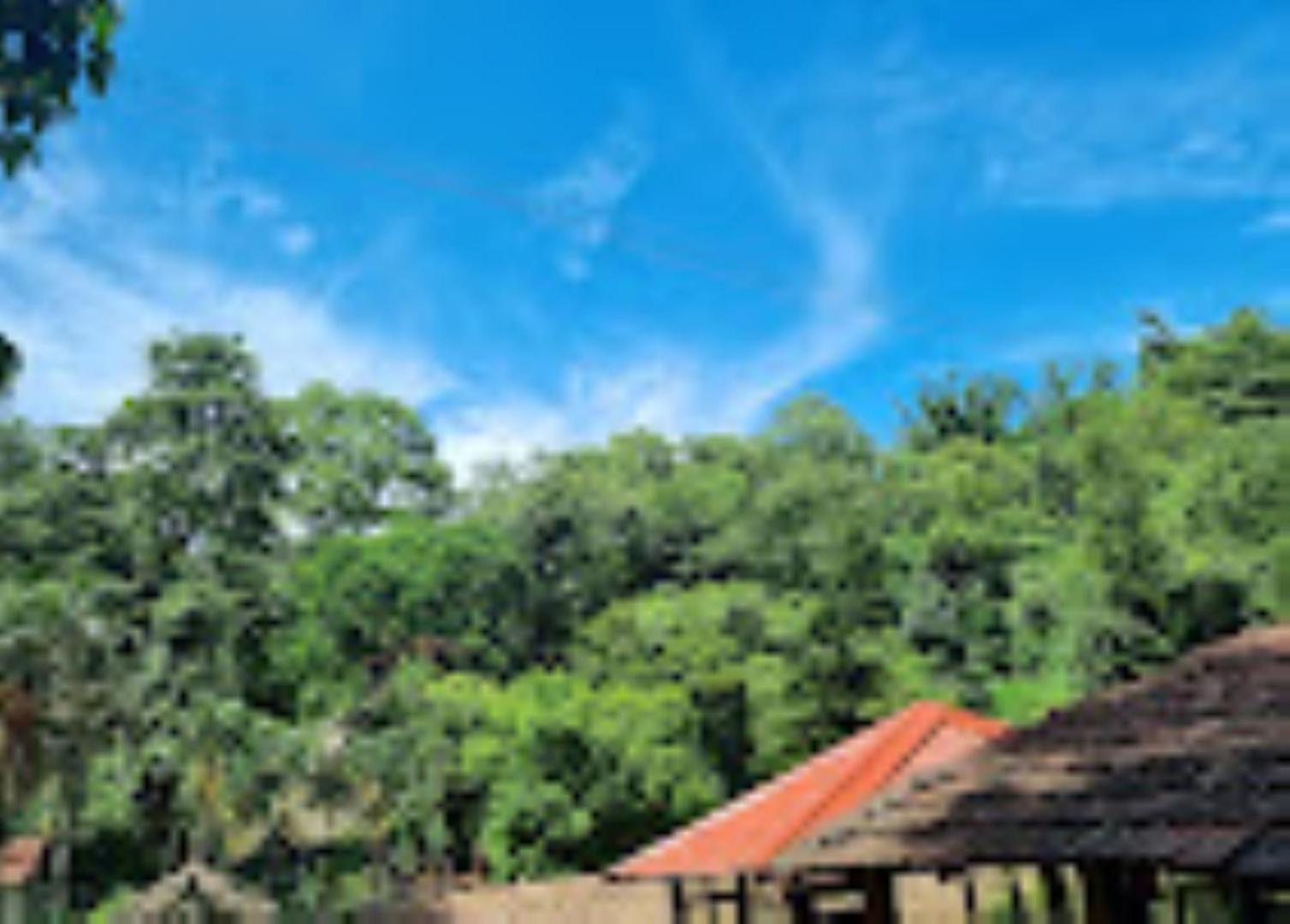 Brahmaputra Jungle Resort Ґувахаті Екстер'єр фото