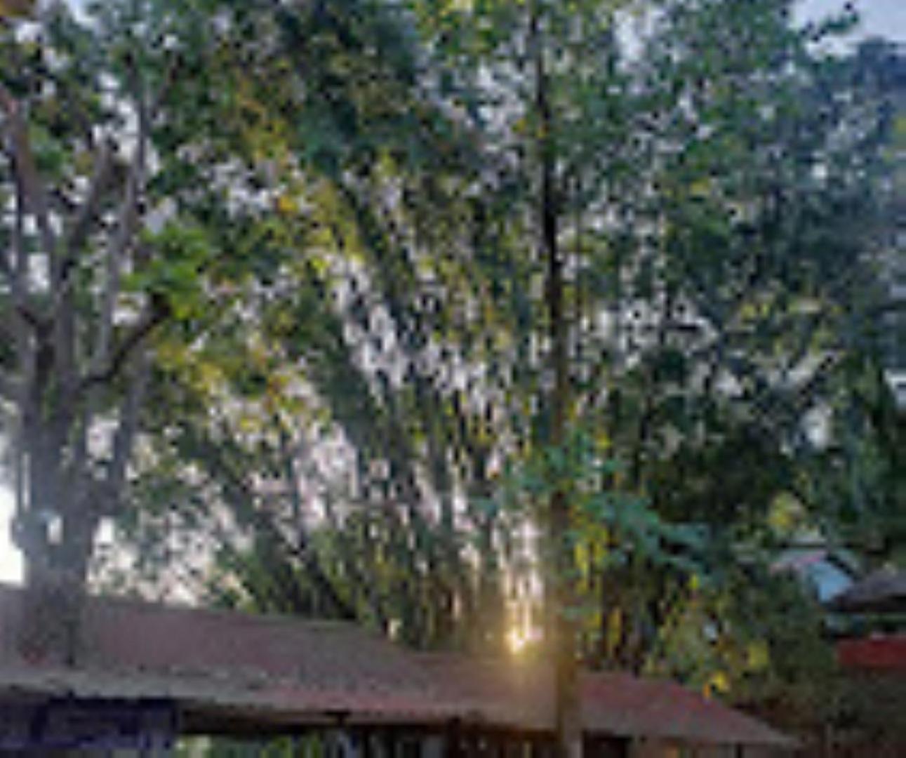 Brahmaputra Jungle Resort Ґувахаті Екстер'єр фото