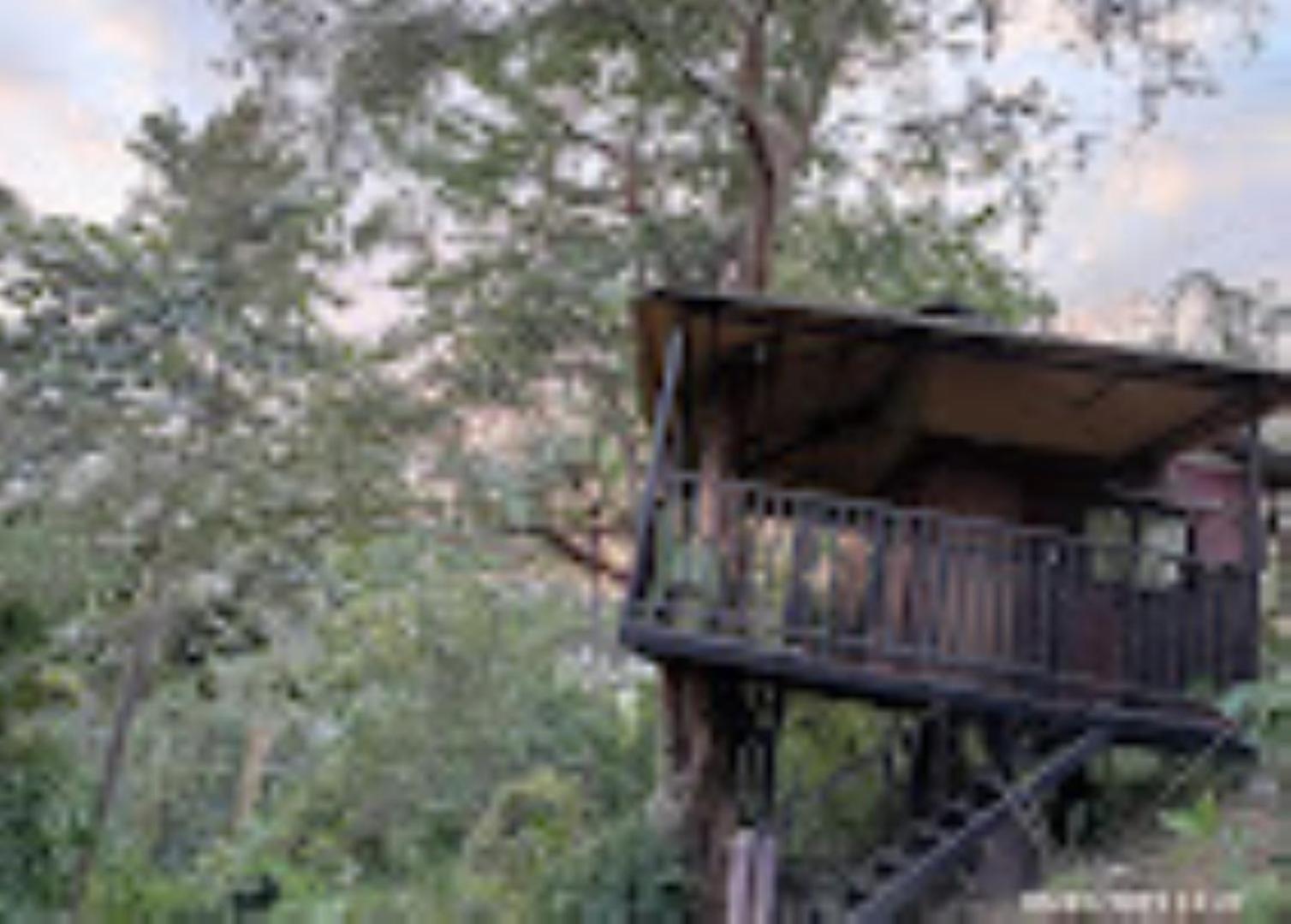 Brahmaputra Jungle Resort Ґувахаті Екстер'єр фото