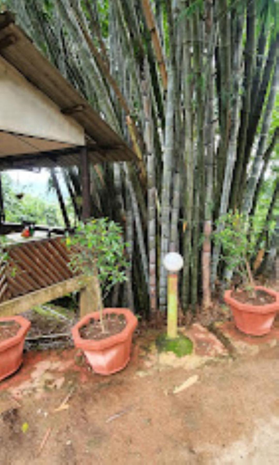 Brahmaputra Jungle Resort Ґувахаті Екстер'єр фото