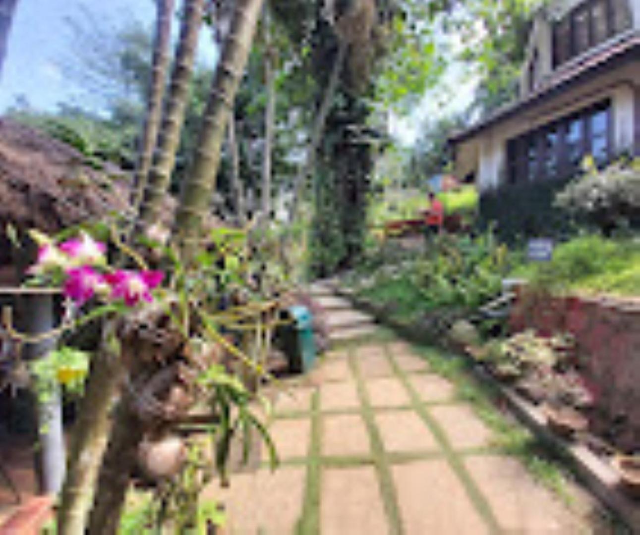 Brahmaputra Jungle Resort Ґувахаті Екстер'єр фото